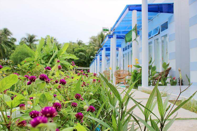 Nostress Guest House Mui Ne Exterior foto