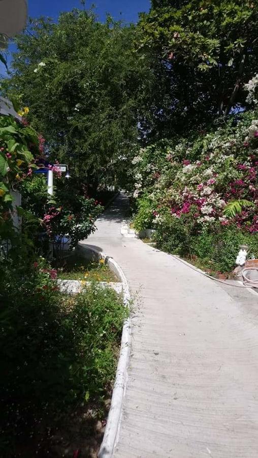 Nostress Guest House Mui Ne Exterior foto